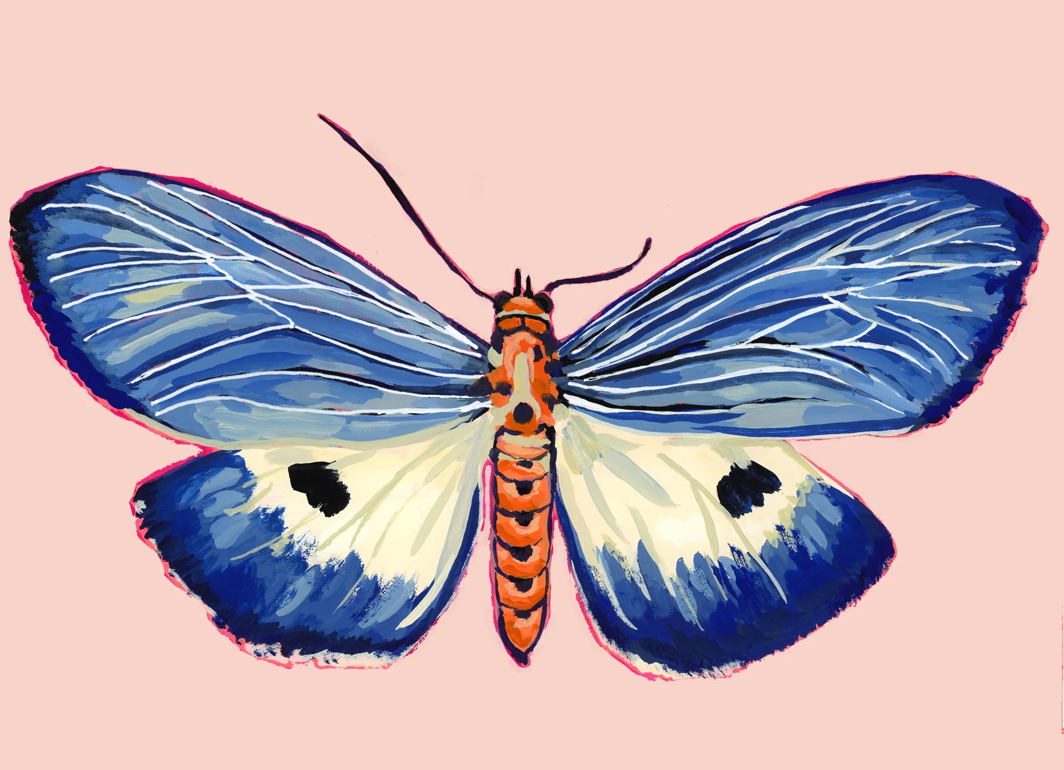 5x7_moth.jpg