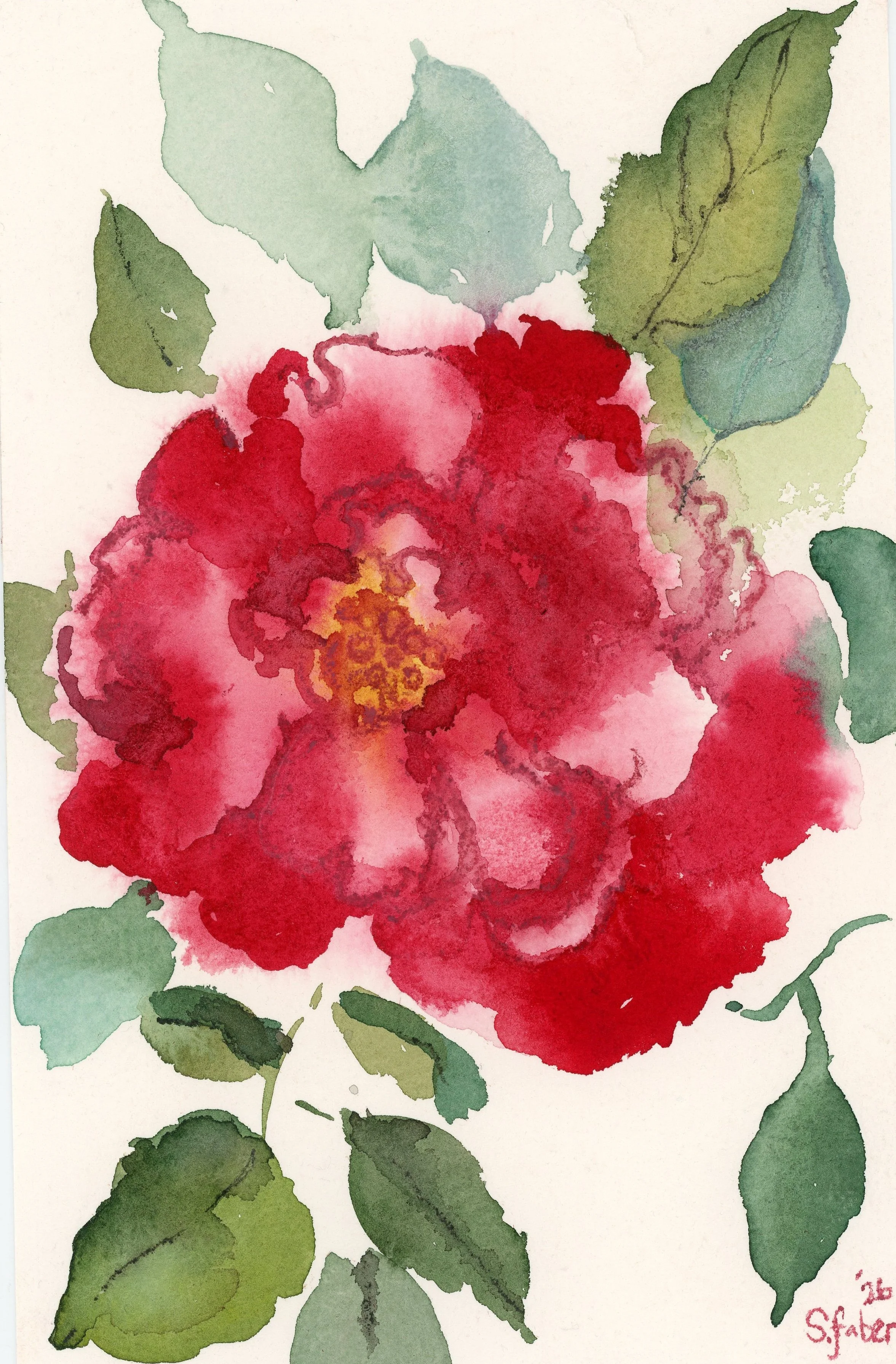 5x7loose rose cropped.jpeg