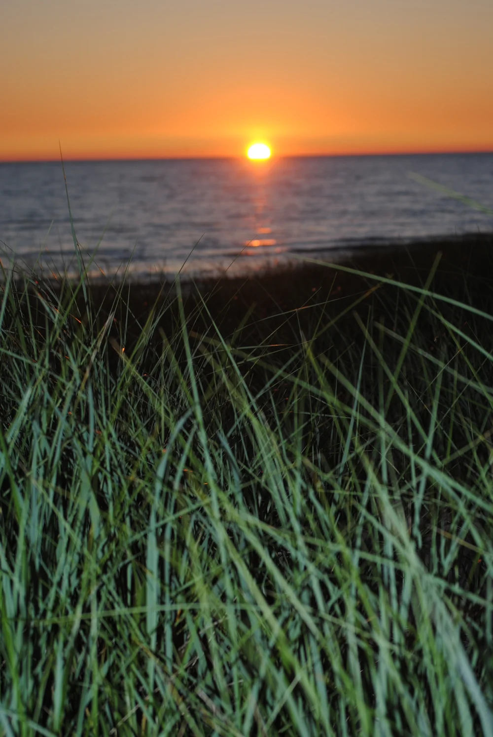 About the Festival — Third Coast Trombone Retreat