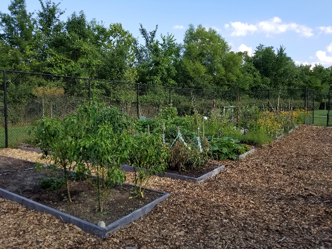 The City’s largest urban garden with 40 community garden plots in the Old Town neighborhood in the City of College Park, Maryland..