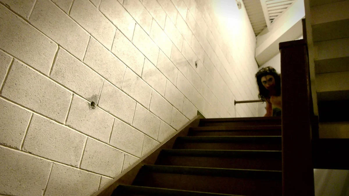 V/H/S