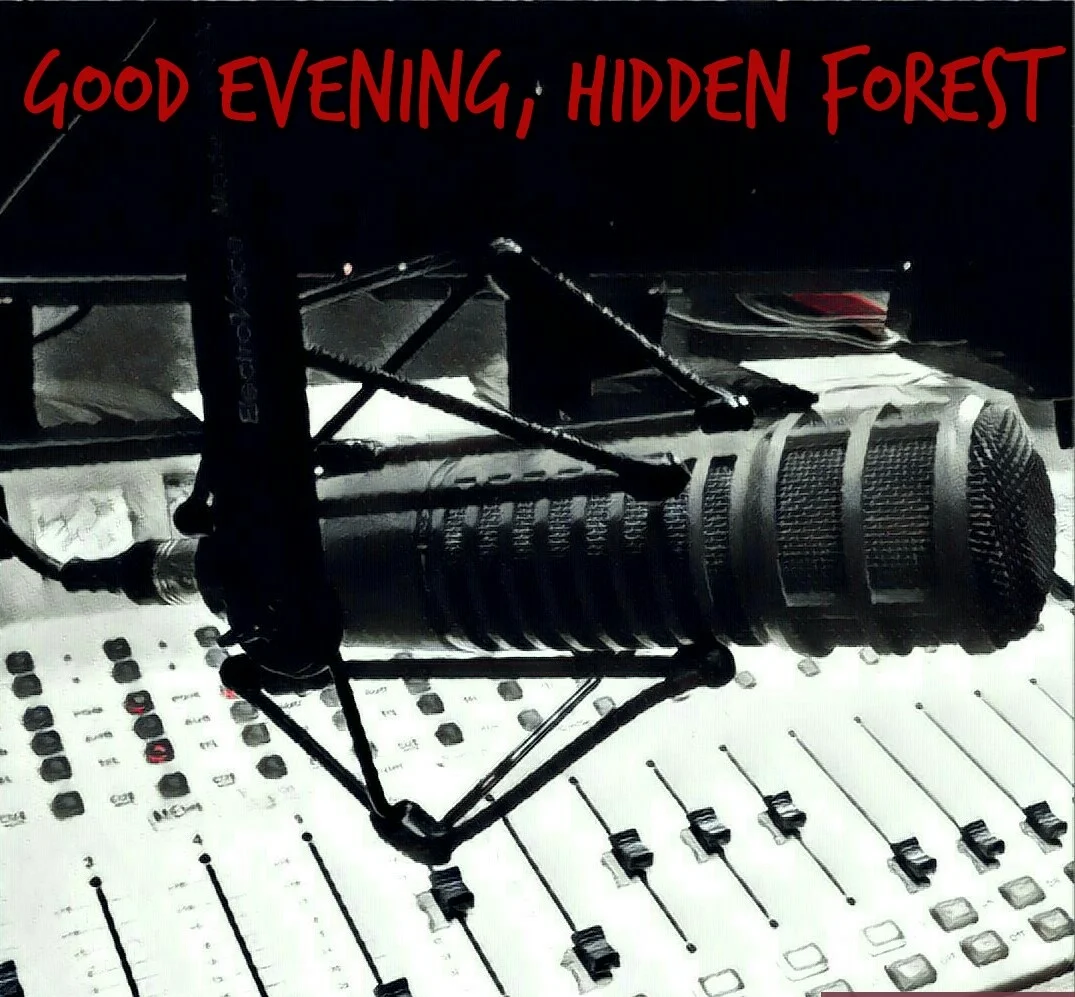 Fifth Interlude: "Good Evening, Hidden Forest" Pilot. episode artwork