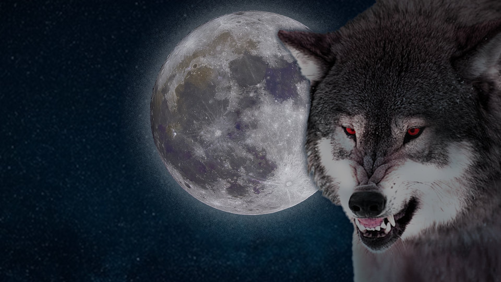 Monster Wolf - The Werewolf Movie That I Did Not Watch During Yesterday's  Full Moon