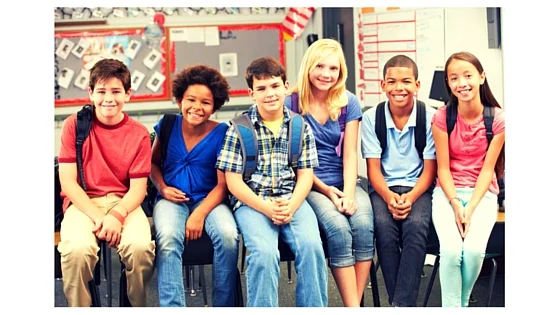 Diversity in Schools: How it matters in school selection