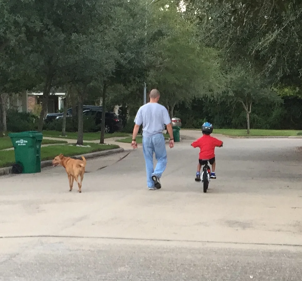 The Value in Teaching Kids How to Fail and How to Get Up