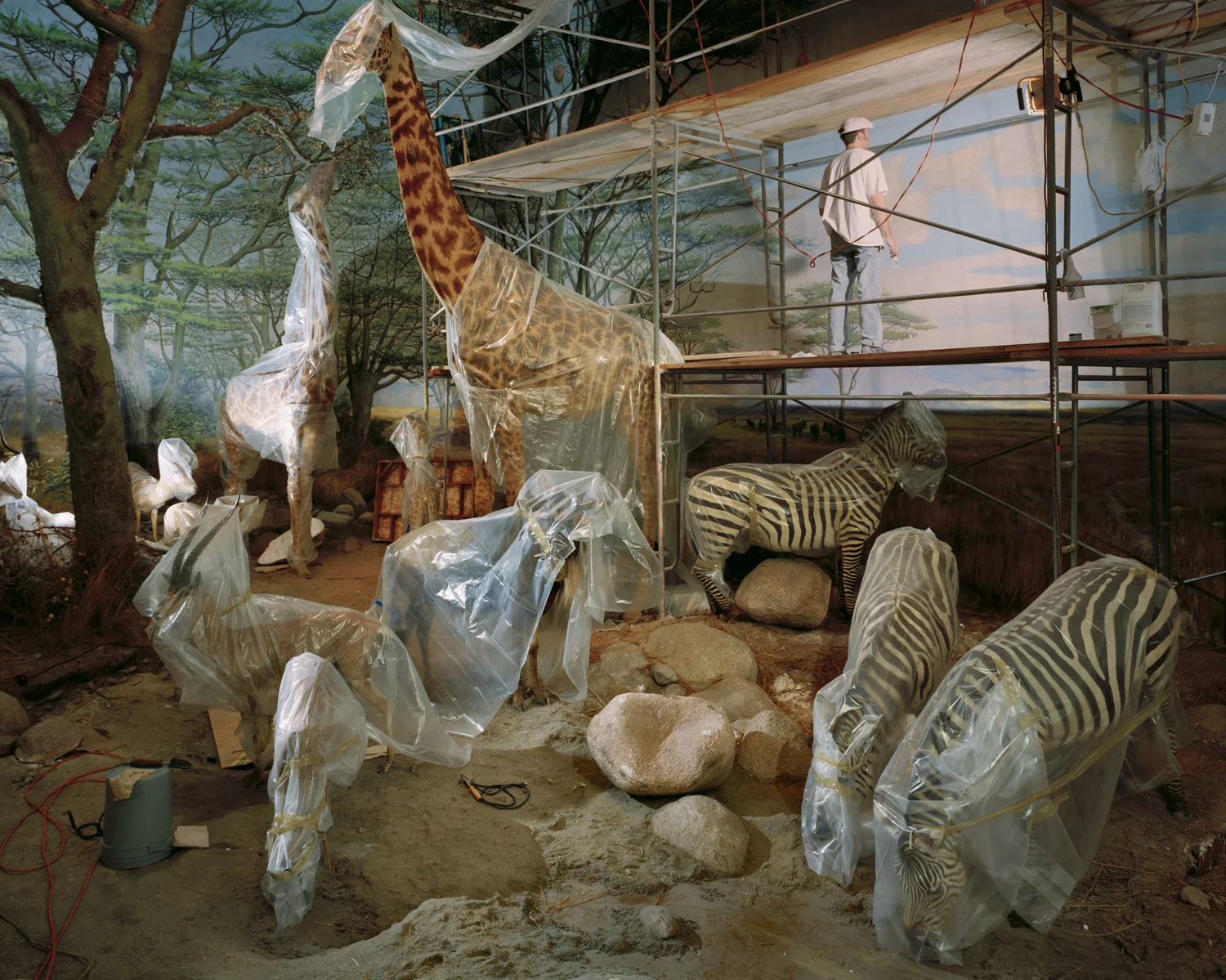 2004_academyanimalswithpainter.jpg