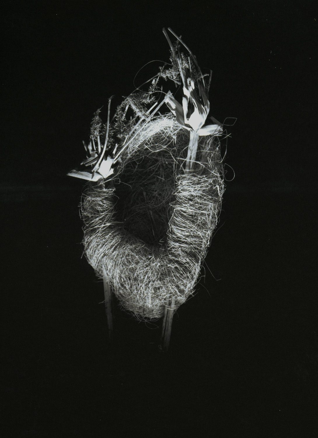 2000_nest_02.jpg