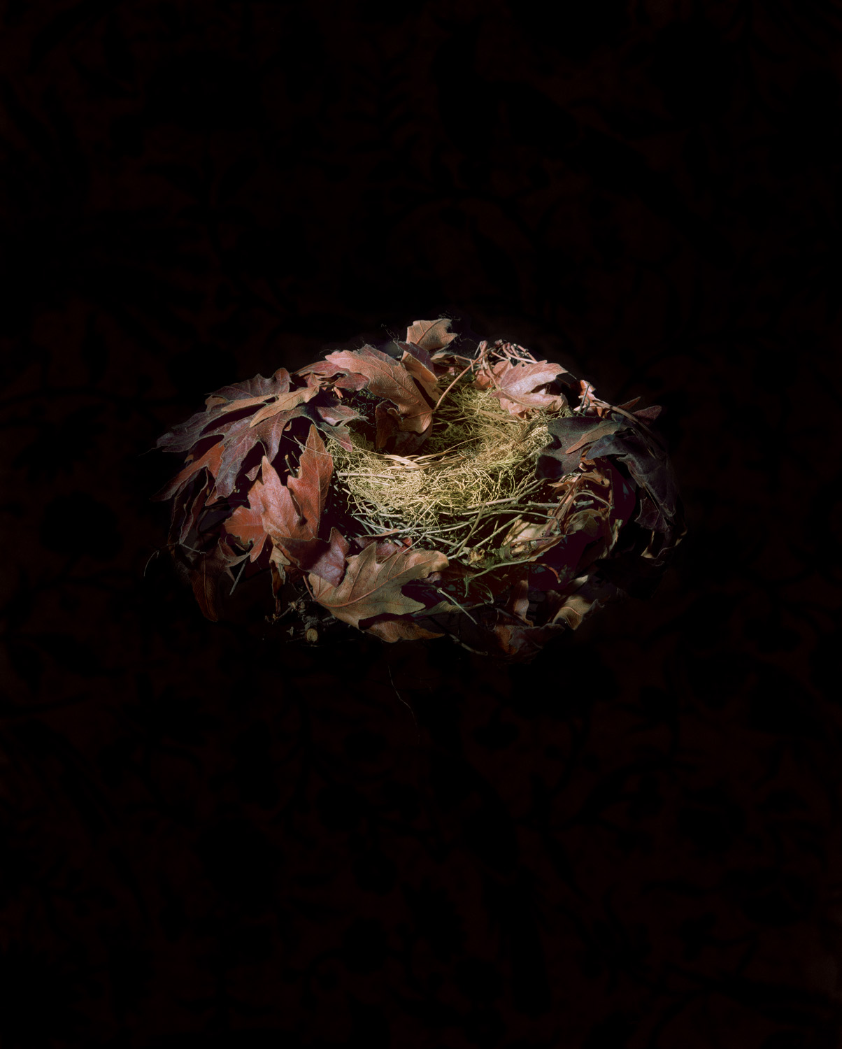 2000_purplefinch.jpg