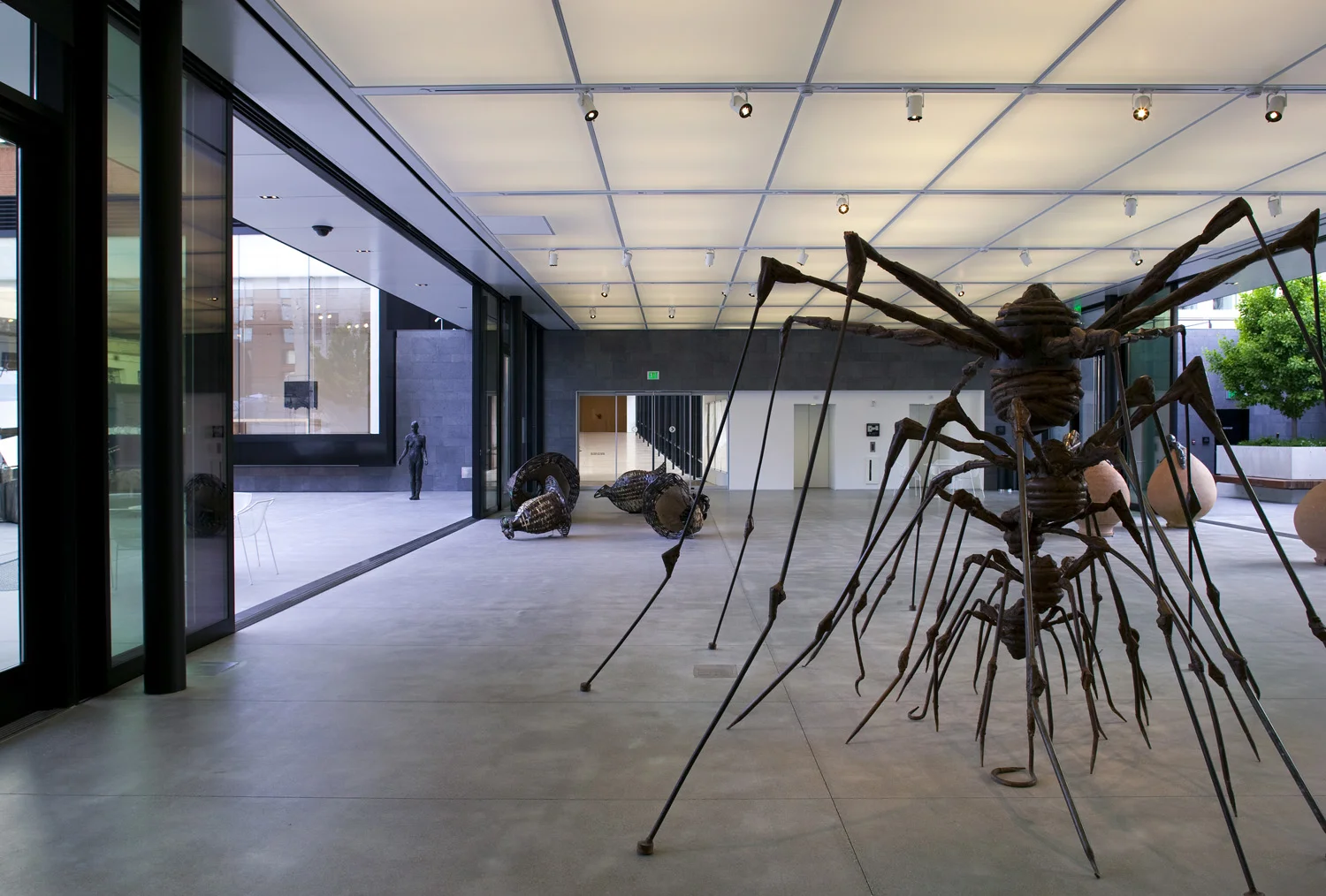 20090601_sfmoma_031.jpg