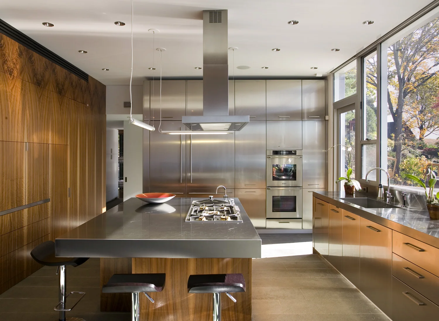 2008_artreehoose_018.jpg