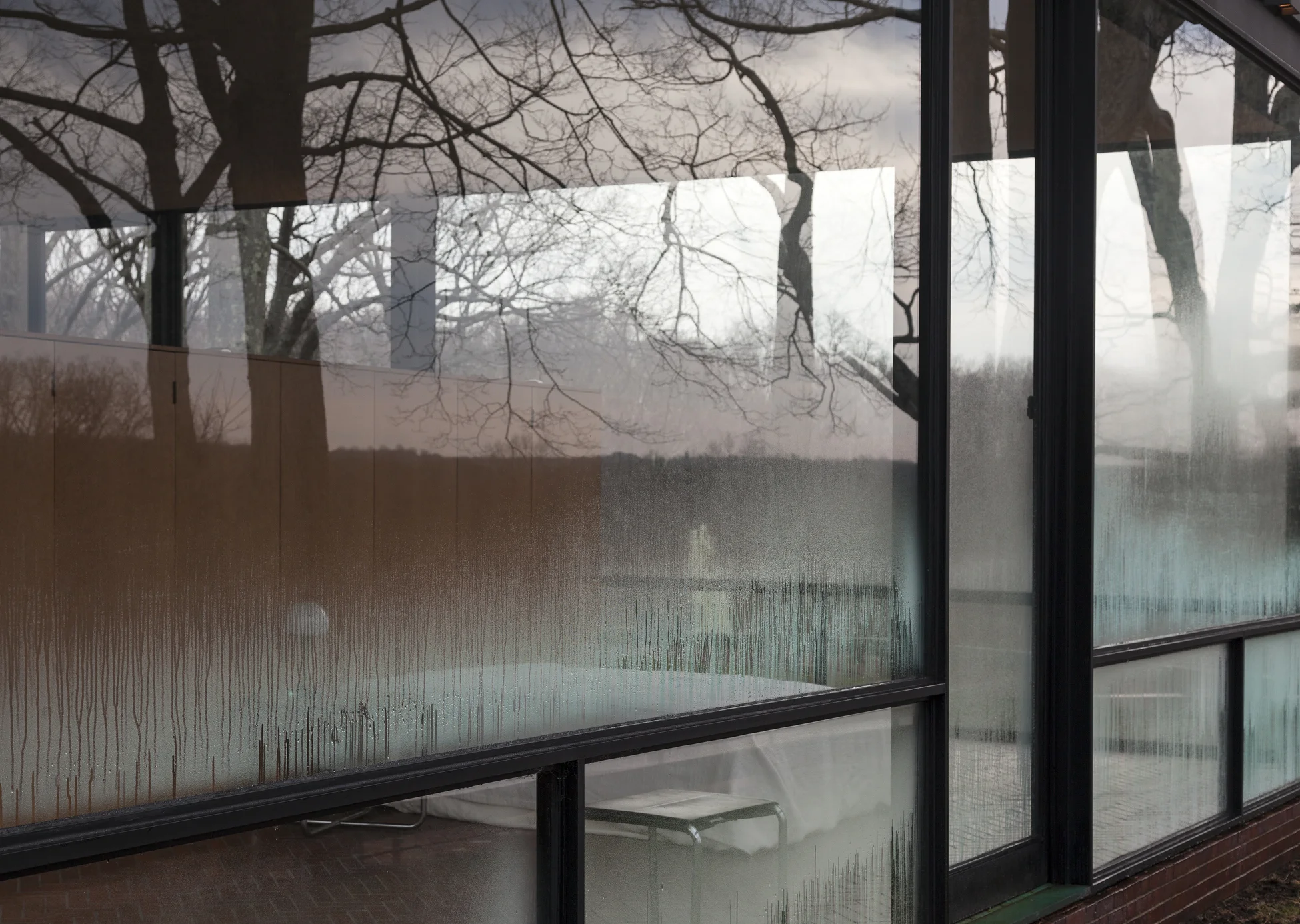 GlassHouse_Fog_042.jpg