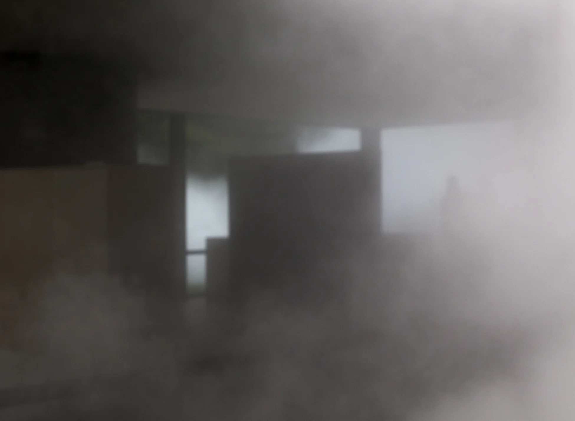 GlassHouse_Fog_307.jpg
