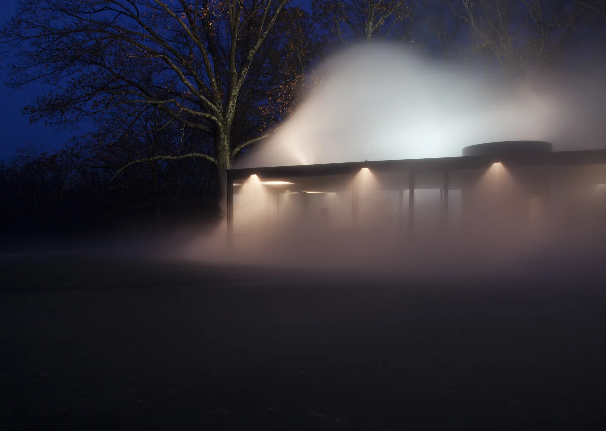 GlassHouse_Fog_1254.jpg