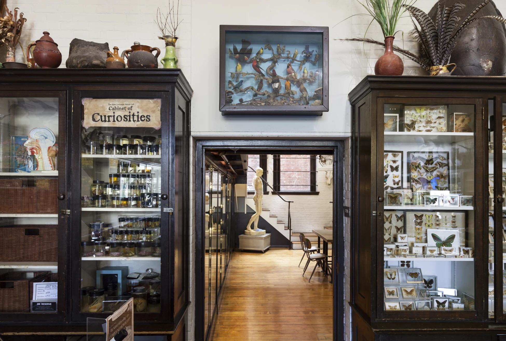 RBarnes_NatureLab_Audubon_1282.jpg