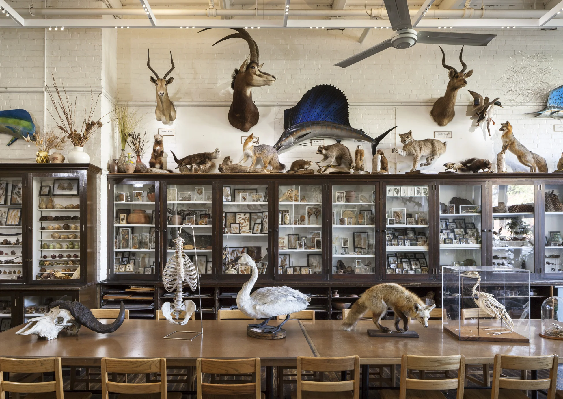 RBarnes_NatureLab_Audubon_1393.jpg