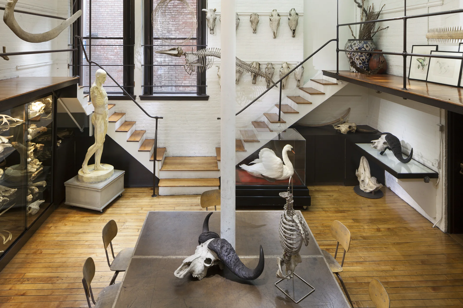 RBarnes_NatureLab_Audubon_1404.jpg