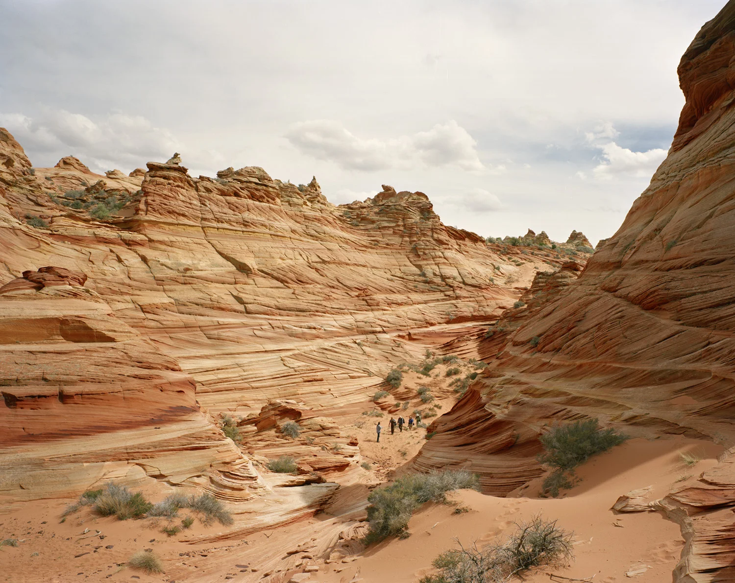 MM7933_0041.jpg