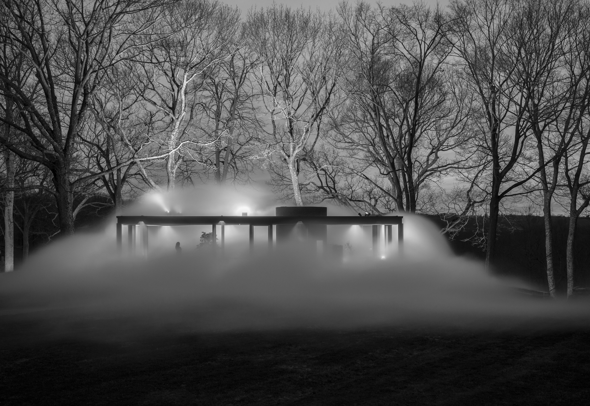 GlassHouse_Fog_049.jpg