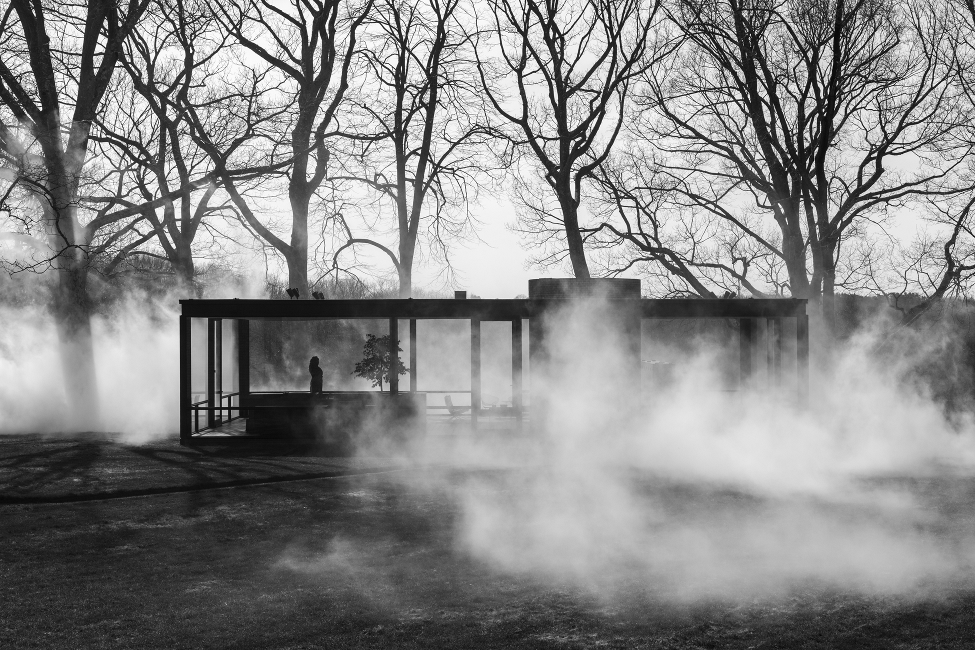 GlassHouse_Fog_080.jpg