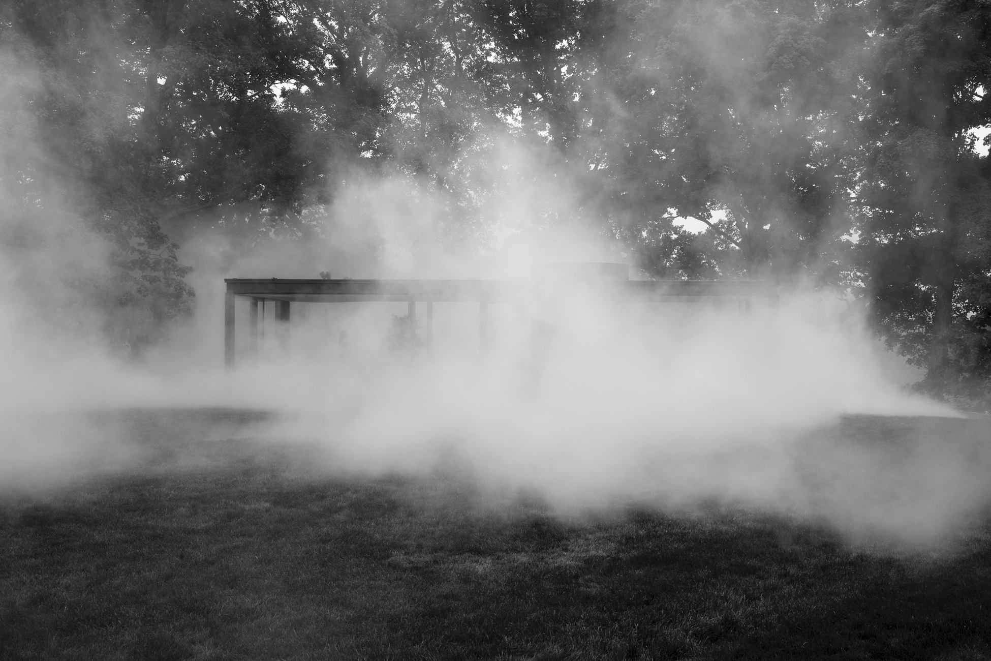 GlassHouse_Fog_210.jpg