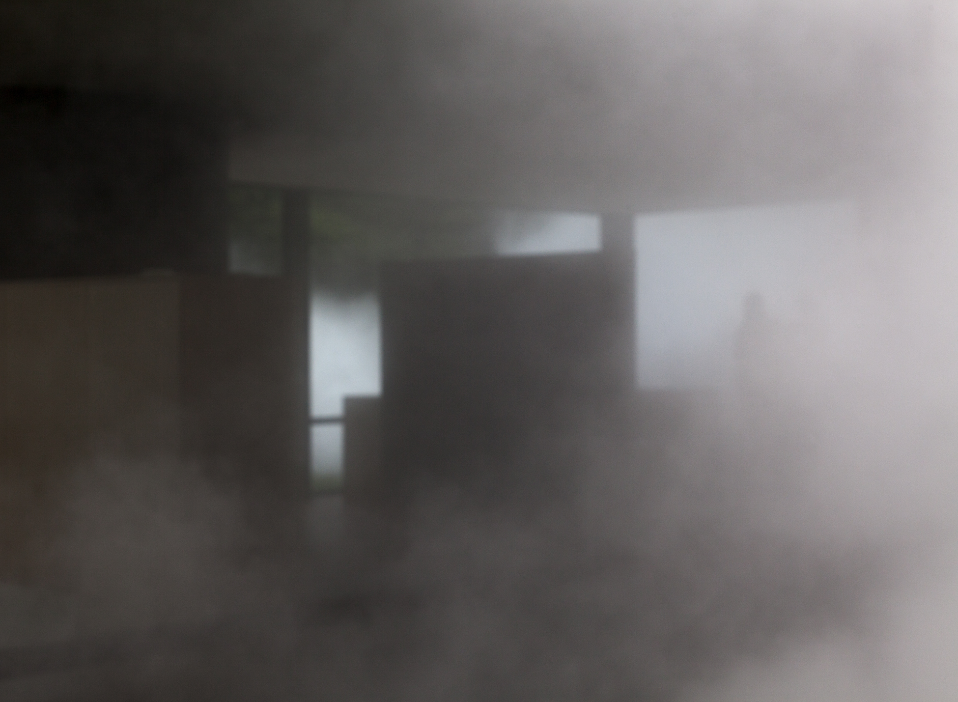 GlassHouse_Fog_307.jpg