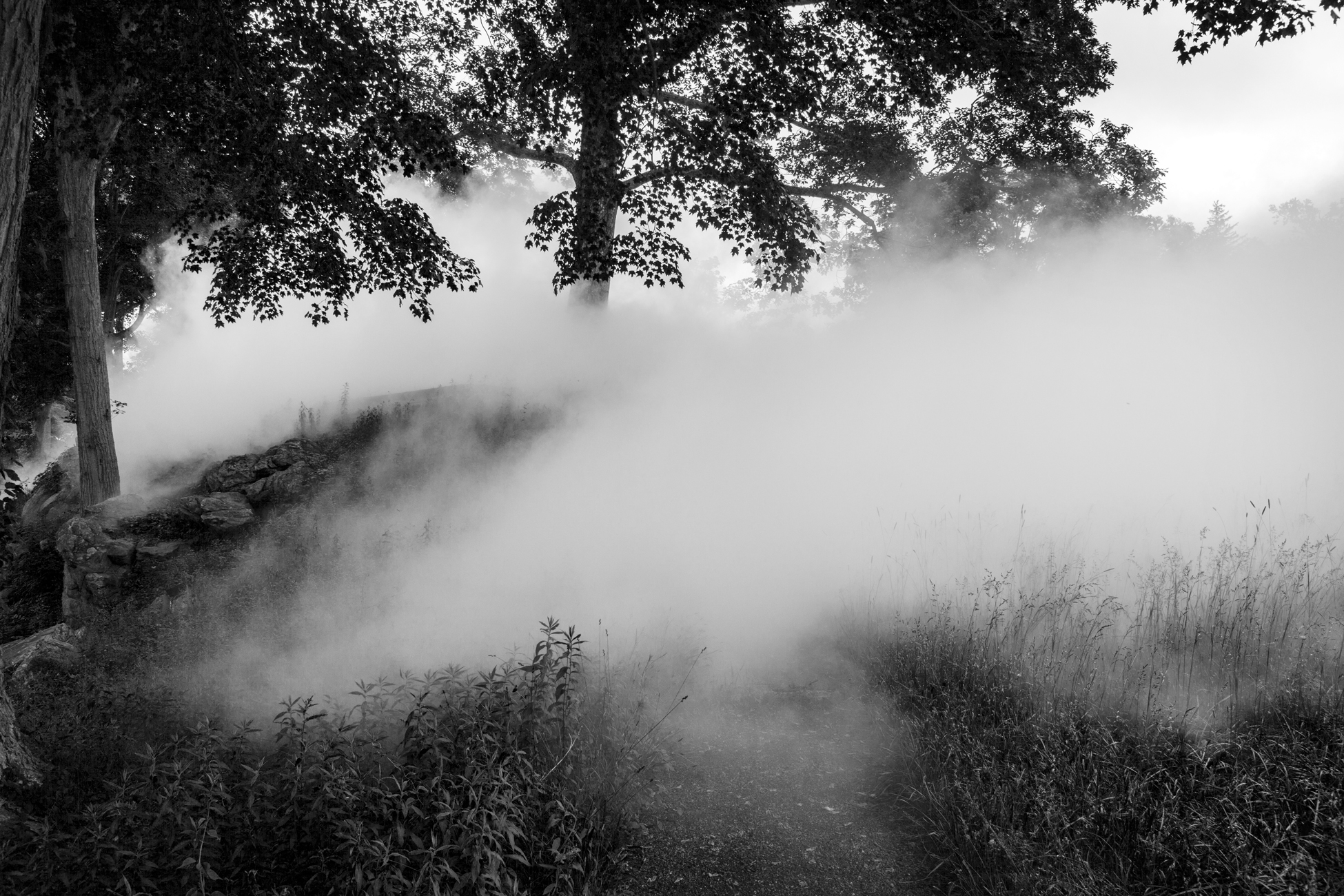 GlassHouse_Fog_324_bw.jpg