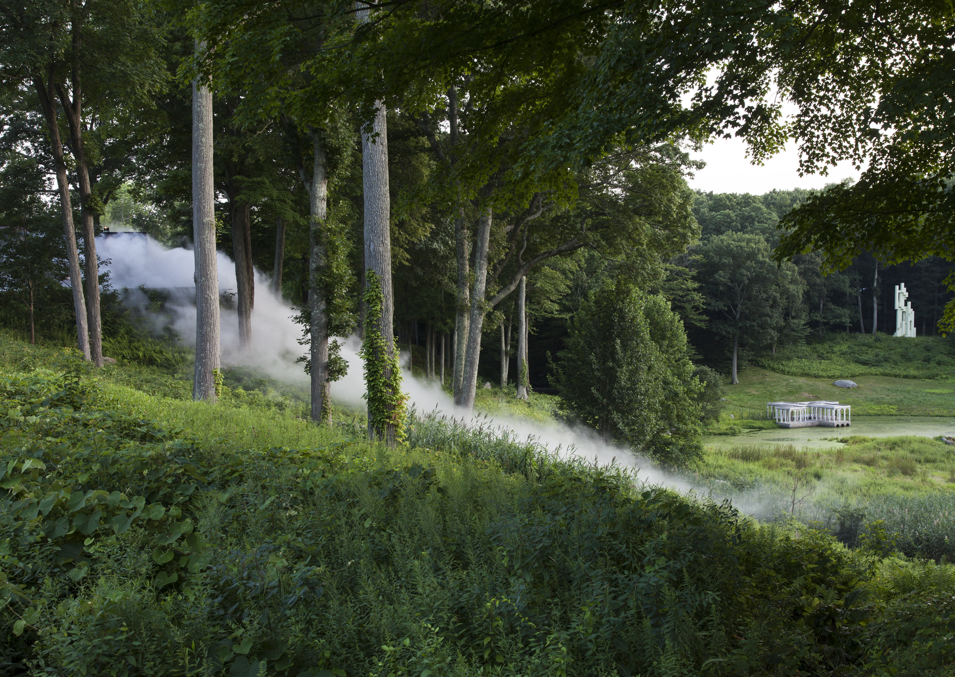 GlassHouse_Fog_0687.jpg