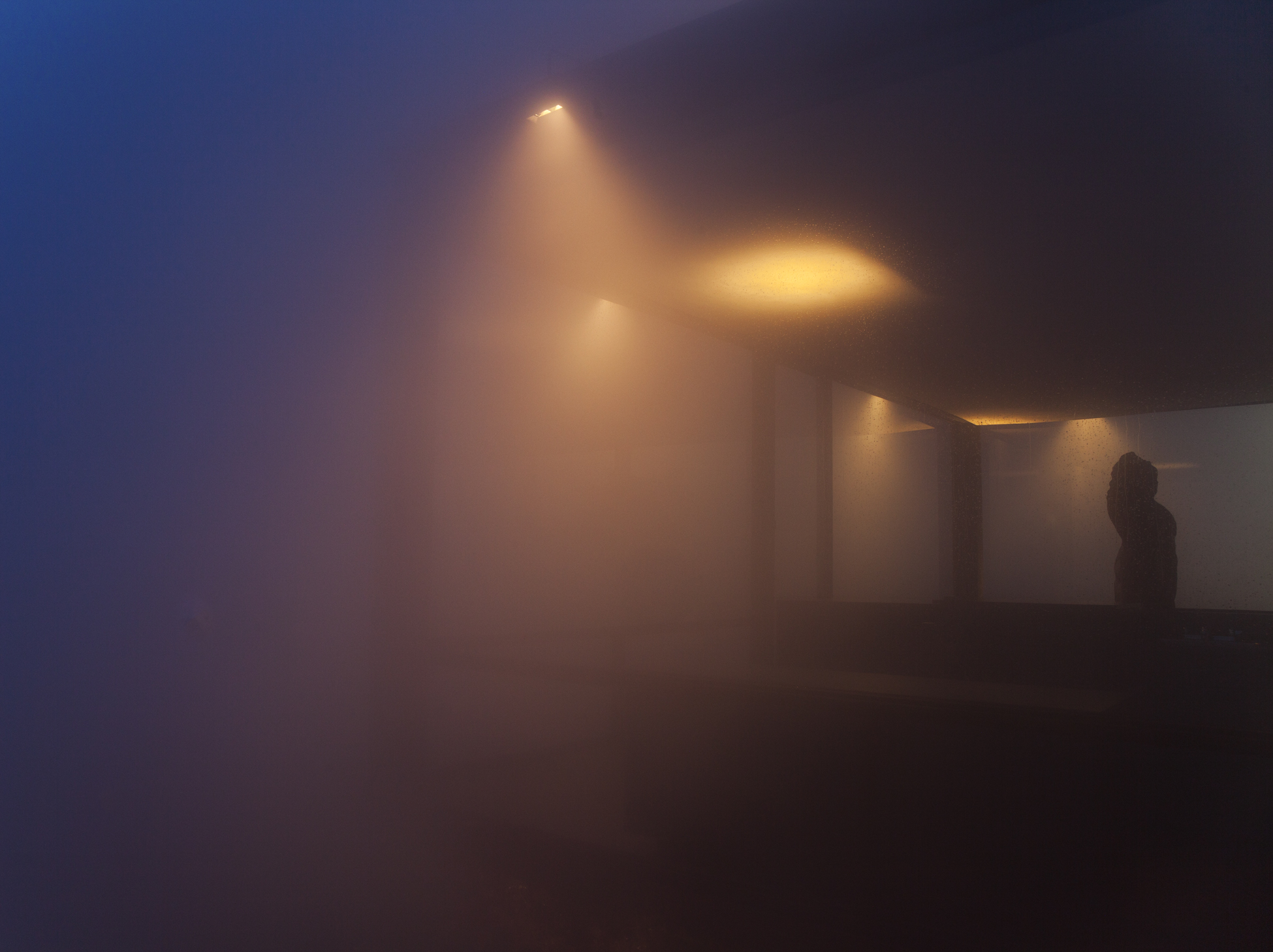 GlassHouse_Fog_1222.jpg