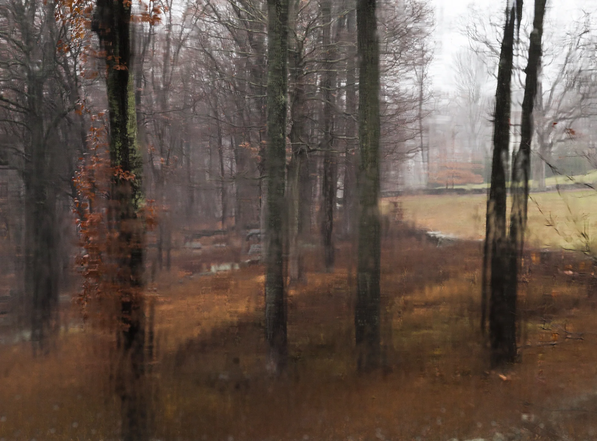 GlassHouse_Fog_1132.jpg