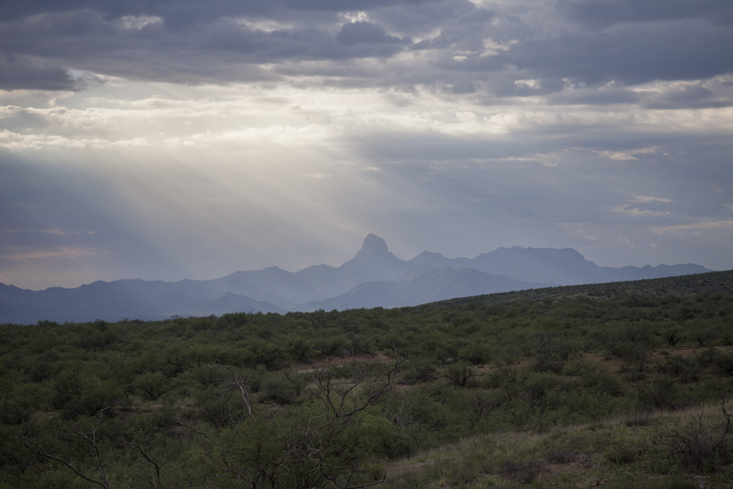  Bavoquibari Mountains, 2012 