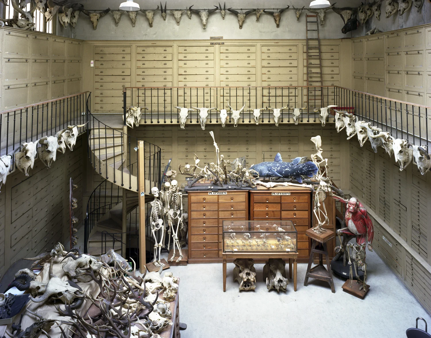 Collection Room 2004, MCA, Paris