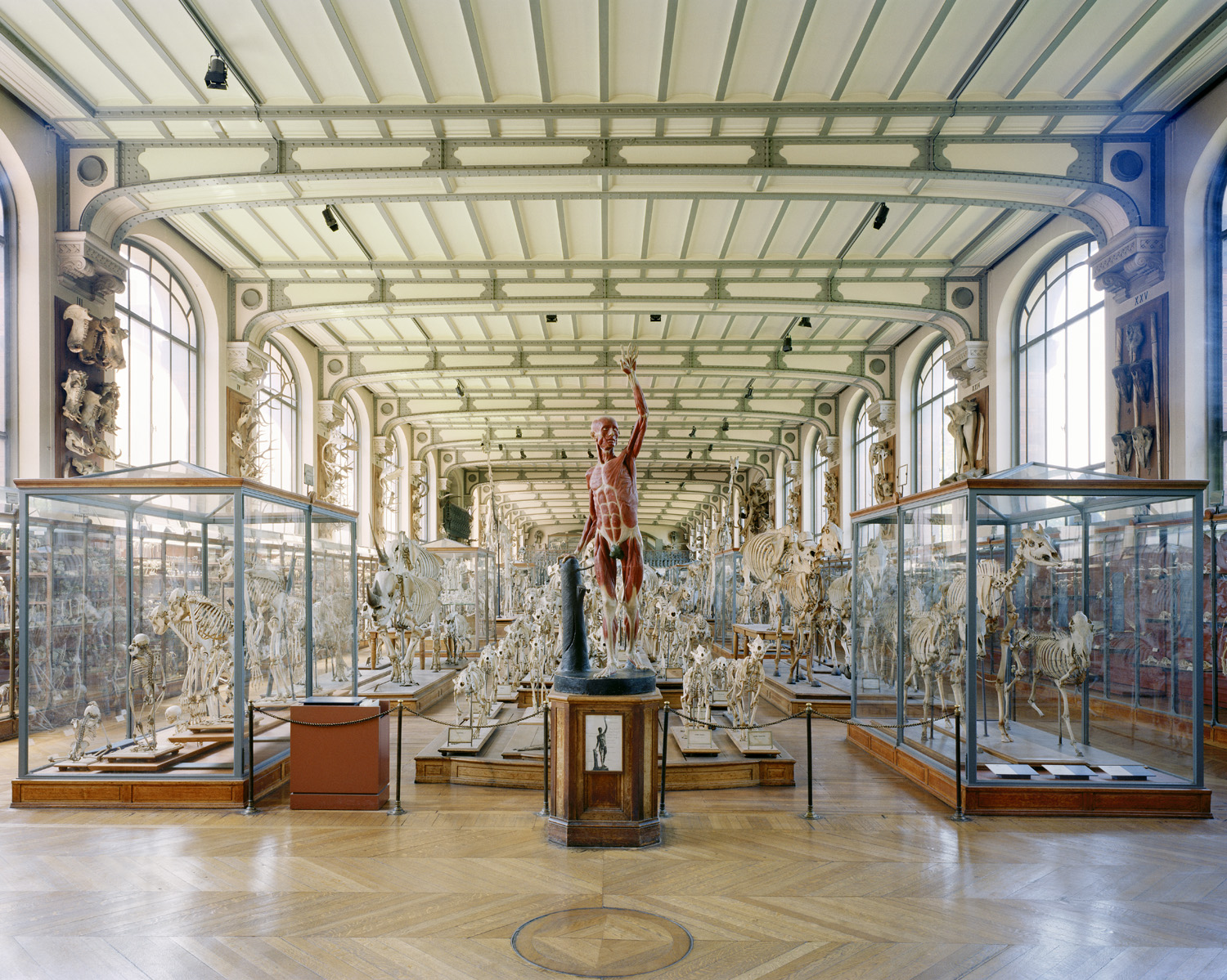  Flayed Man, Paris, 2005 