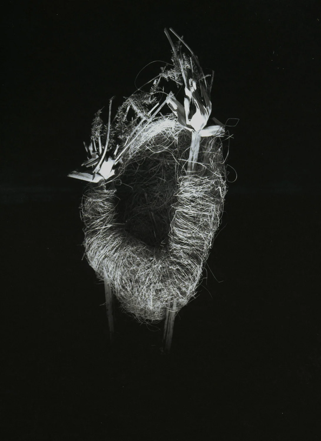 Nest #2, 2000