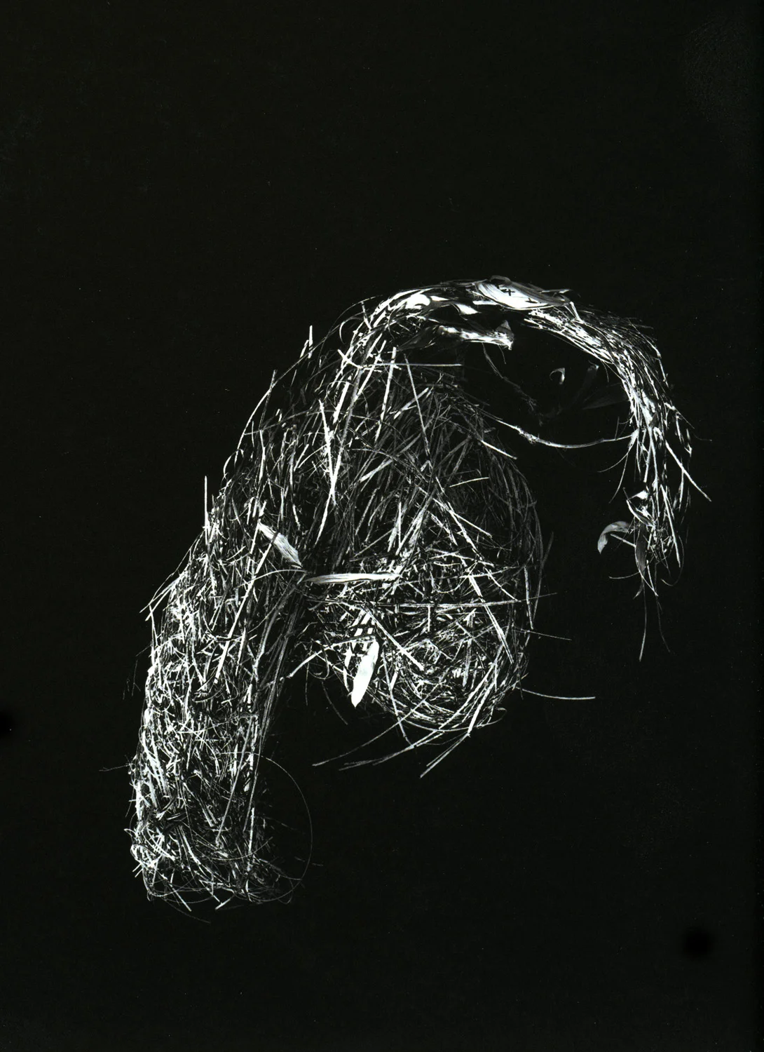 Necouri Weaver, 2000