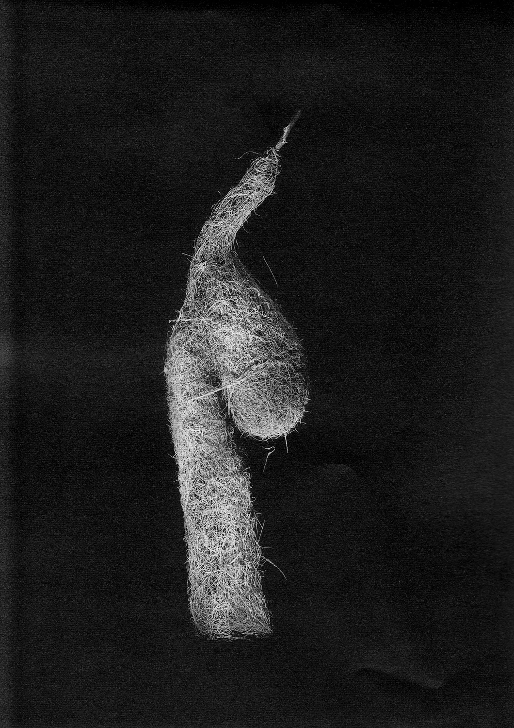 Nest #5, 2000