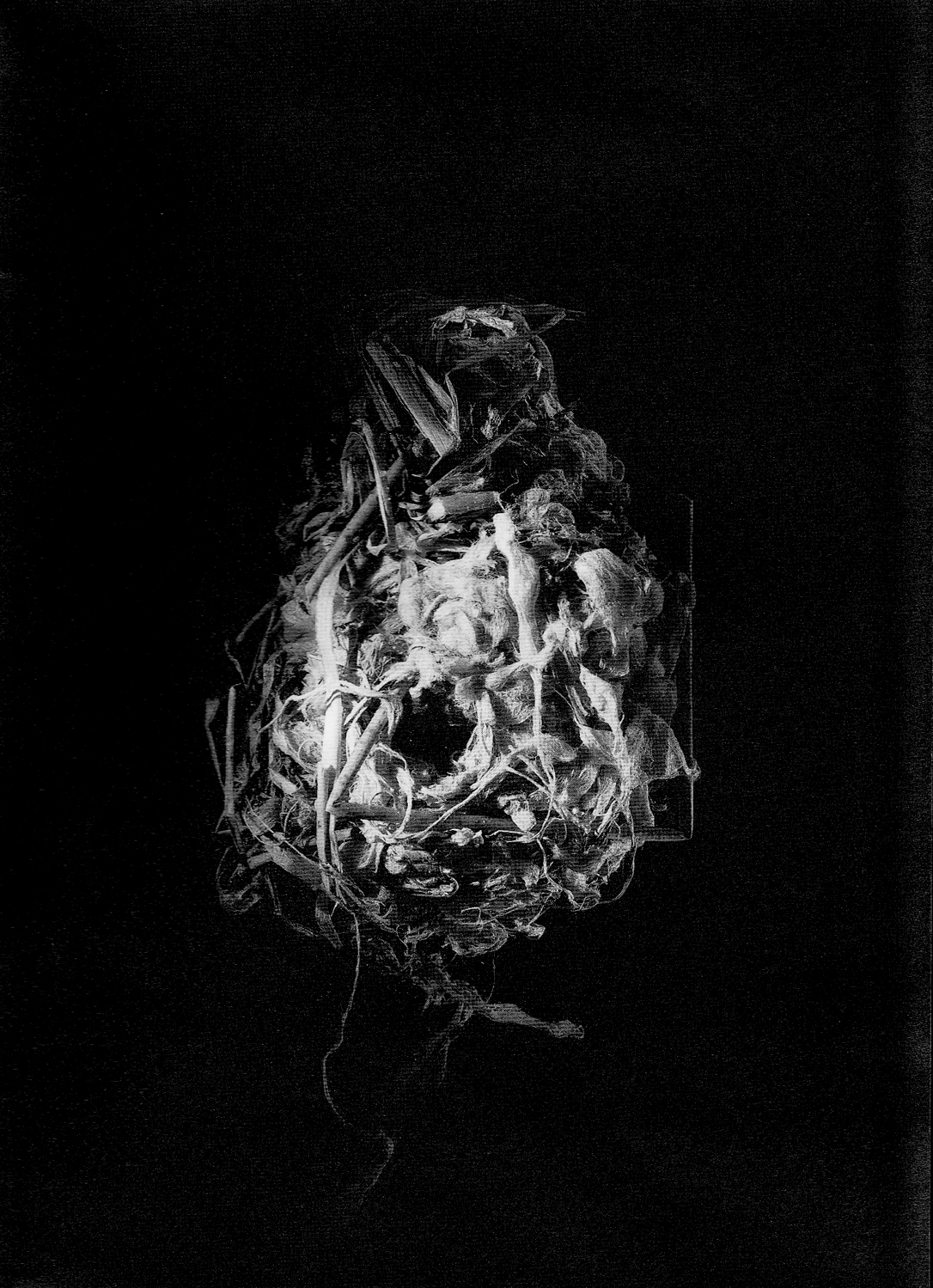  Nest #4, 2000 