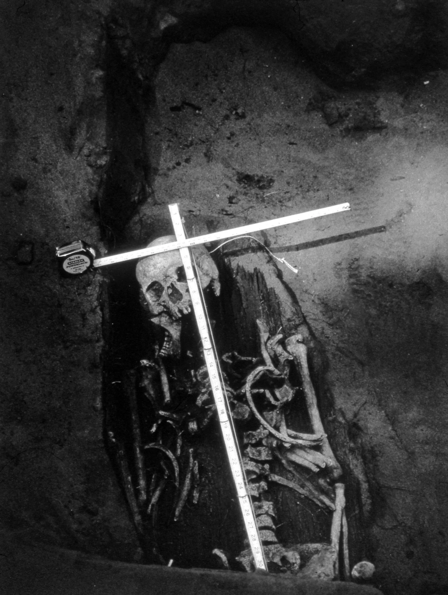Skeleton With Archaeologist's Tape Measure, 1994