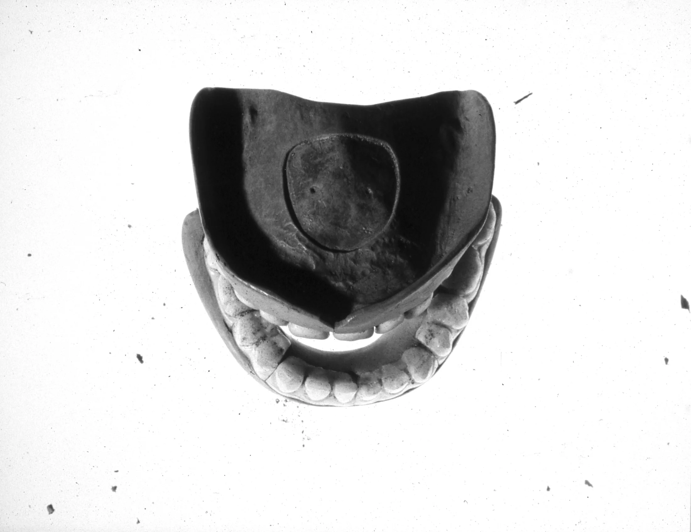 Burial Artifact, 1995