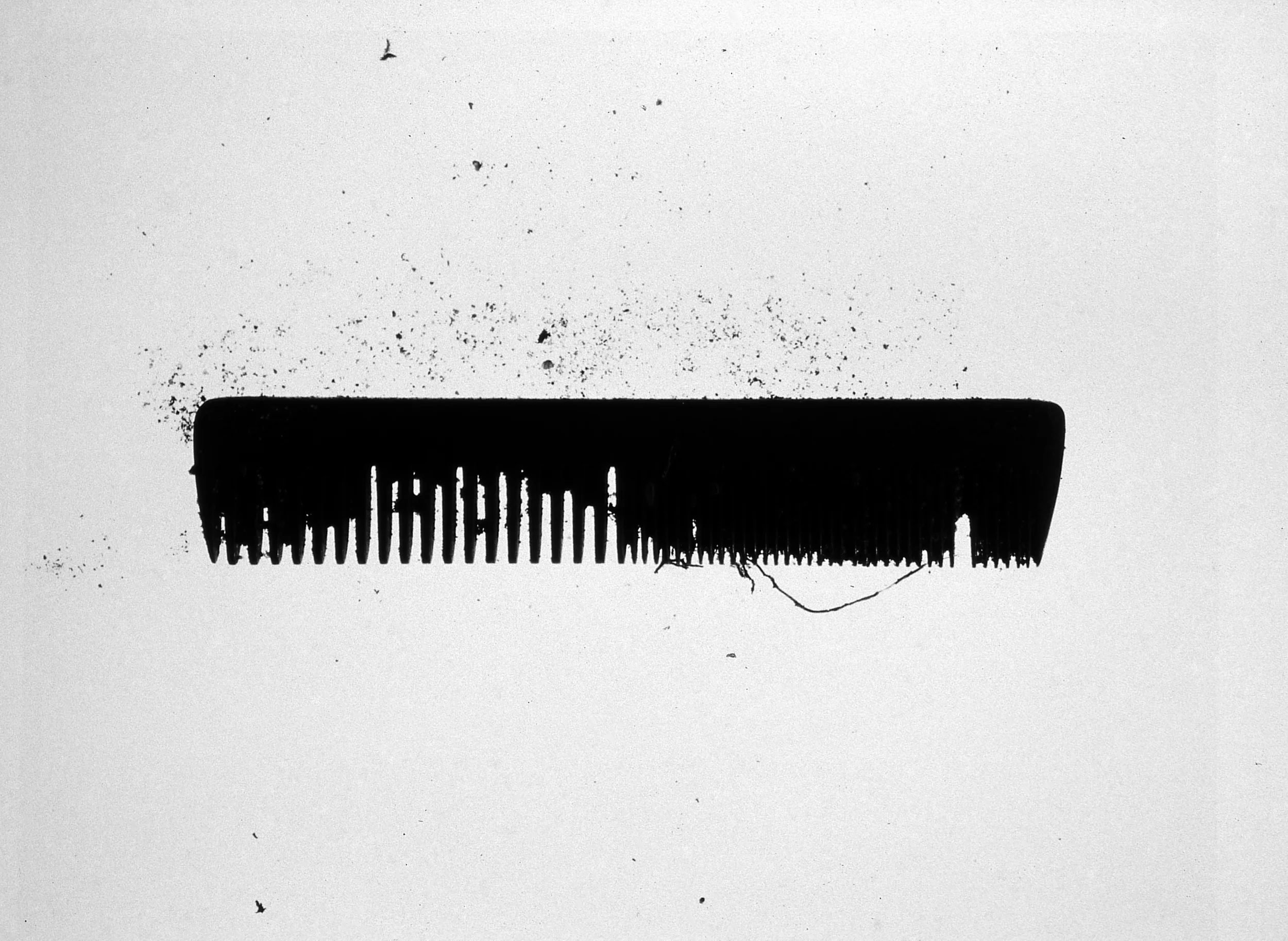 Burial Artifact, 1995