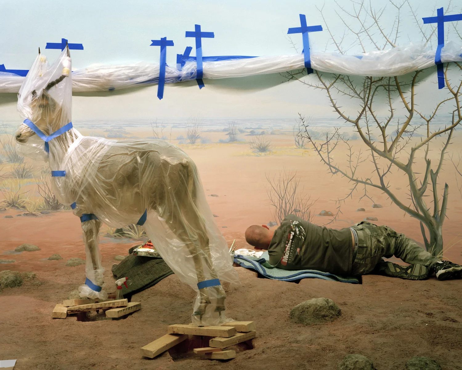 Richard Barnes, Single Ungulate and Man Amidst Crosses, 2008