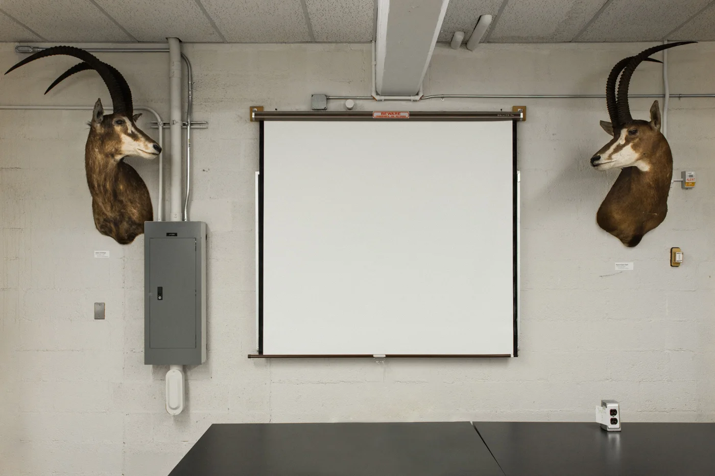 Broad+Storage+First+Edit-28.jpg