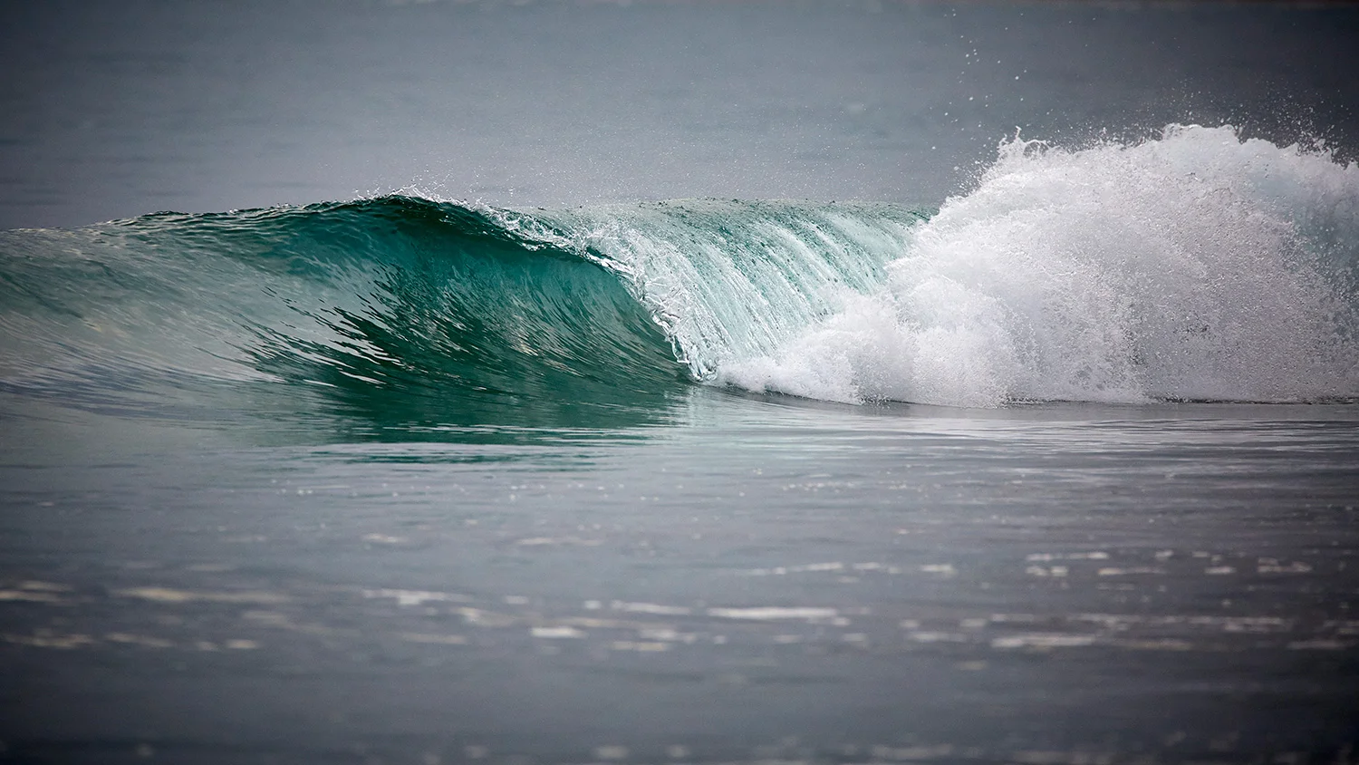 wave_wb.jpg