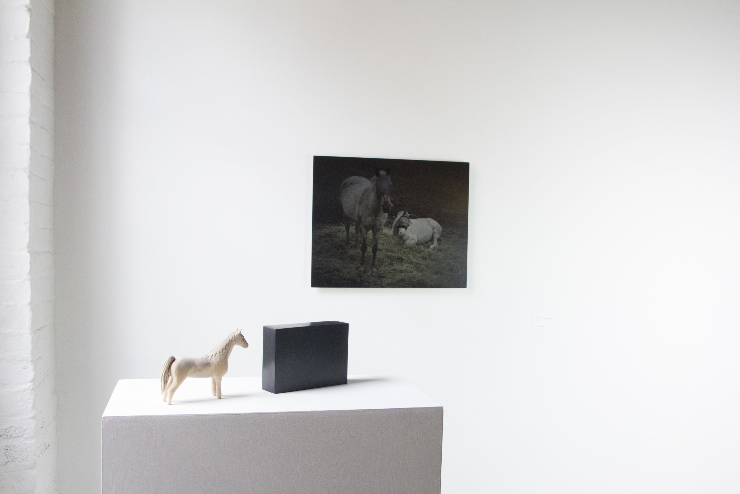 Helen_Hawley_google__art_lit_lab_Chele_Isaac_installation_horses.JPG