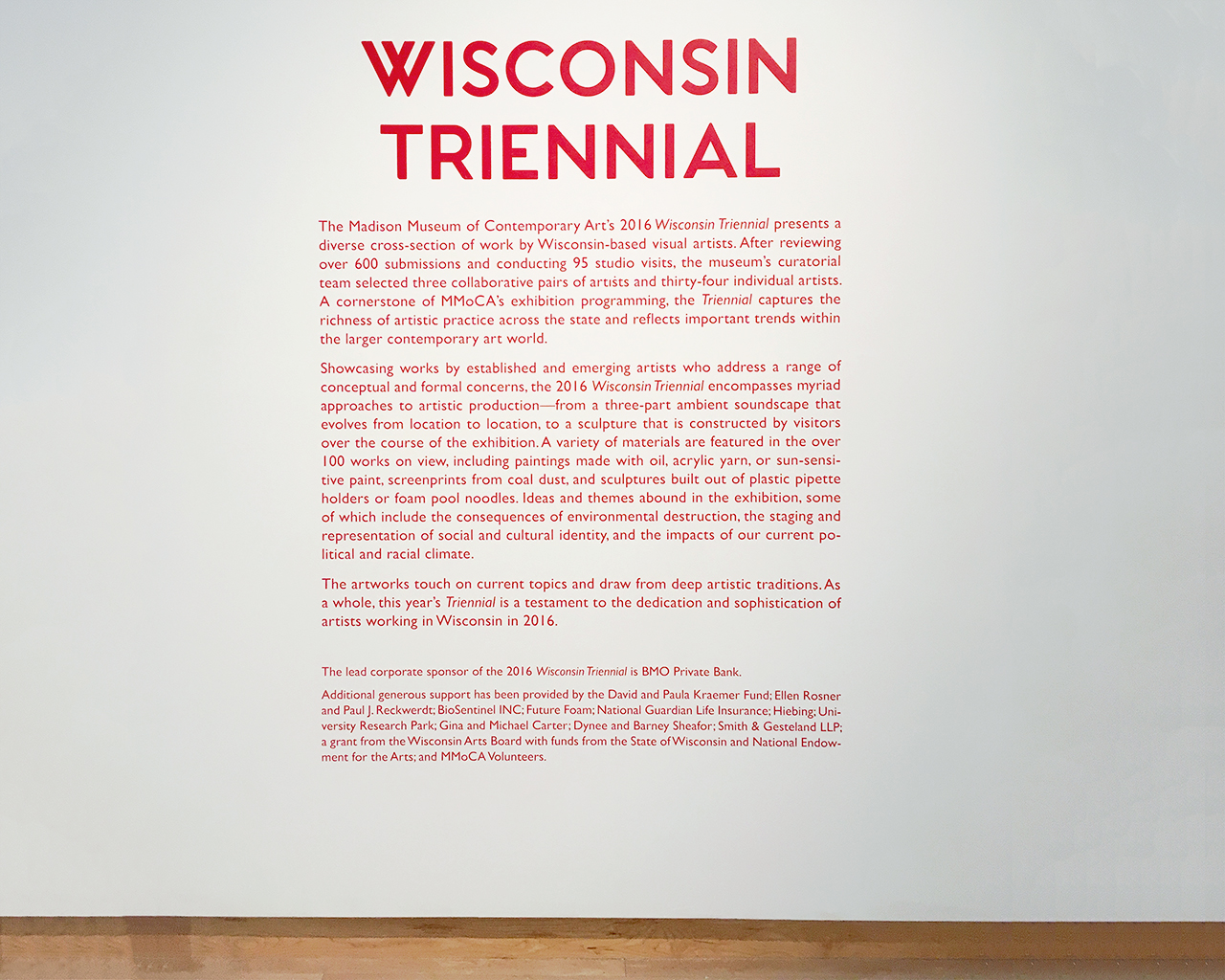 Helen_Hawley_MMoCA_Wisconsin_triennial.jpg