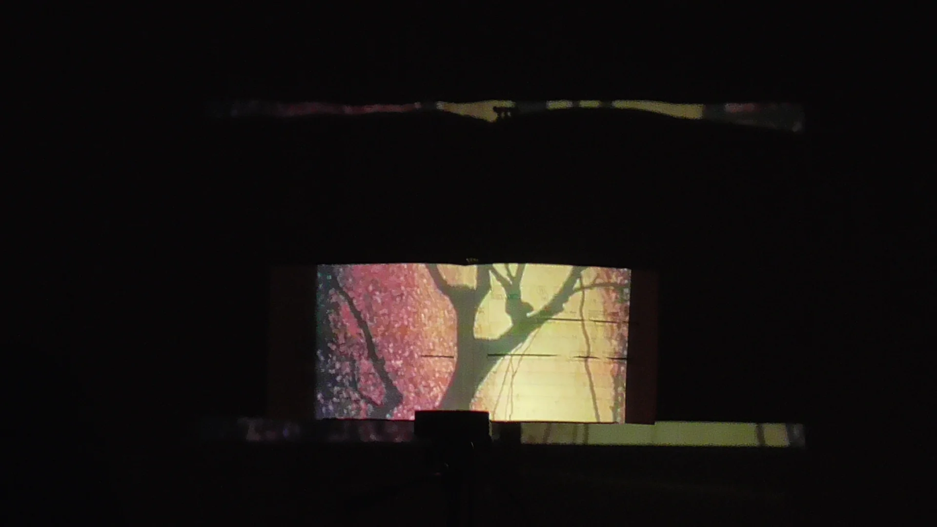 Helen_Hawley_Performancy_S1240264.jpg