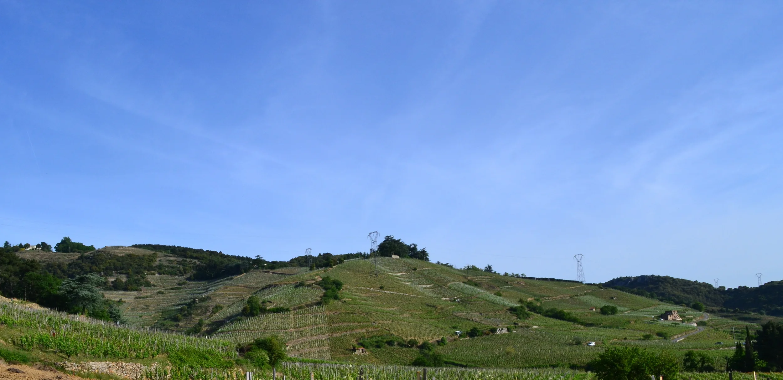 DSC_0426_2.JPG