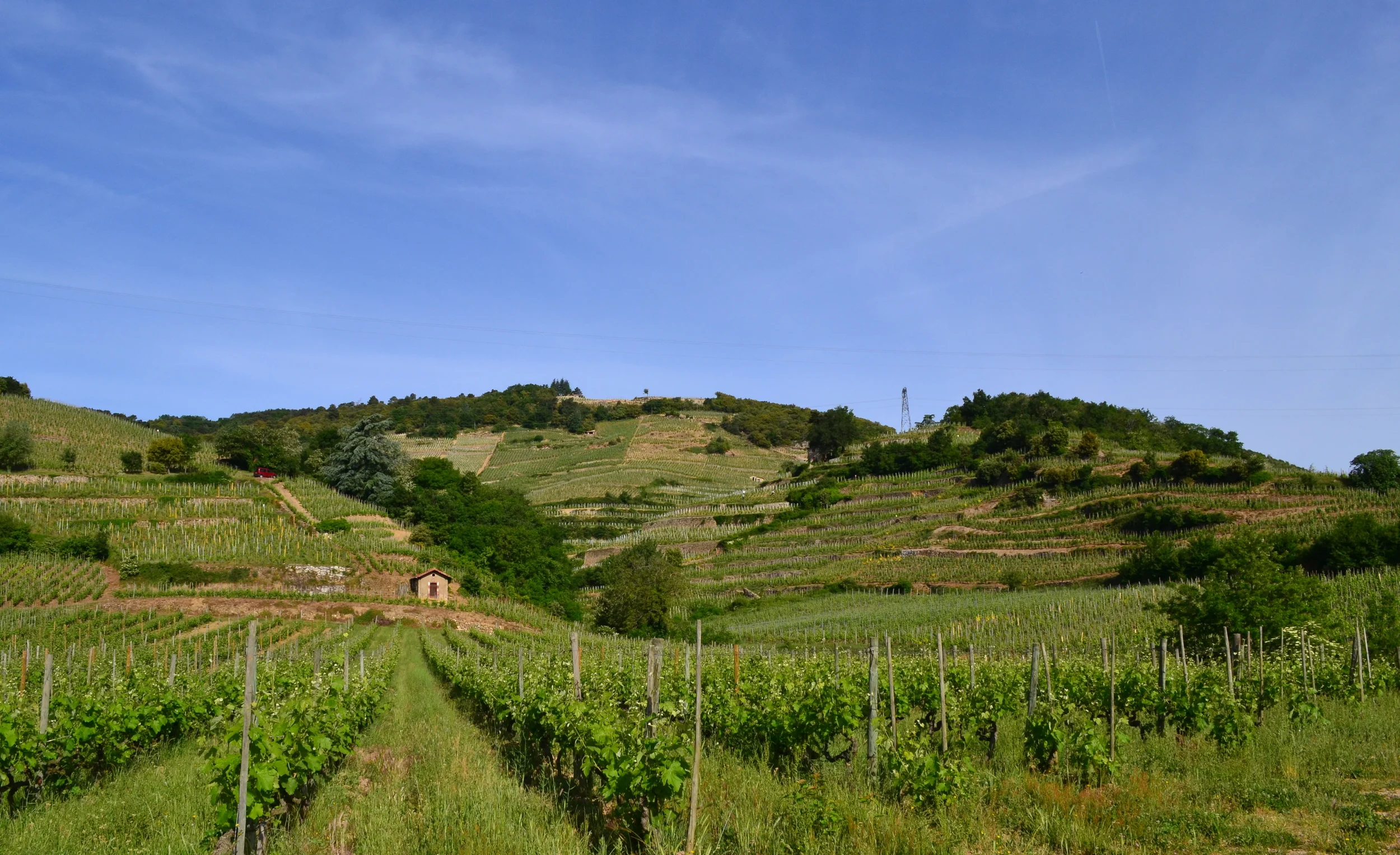 DSC_0456.JPG