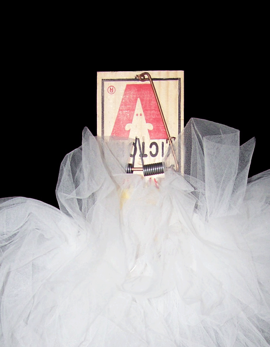 Rat Trap, 2011 (detail view)