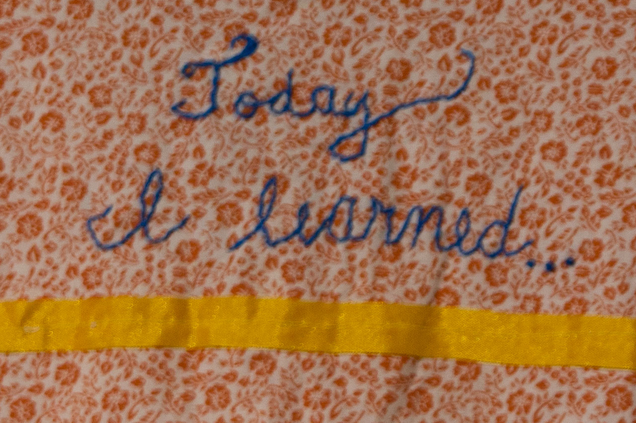 "Today I Learned . . . ", 2013