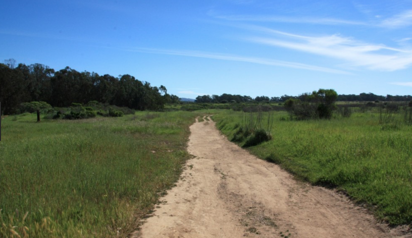 SHORT WALK TO THE BEACH AND BLUFFS